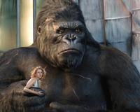 King Kong - 8 x 10 Color Photo #67