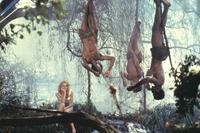 King Solomon's Mines - 8 x 10 Color Photo #2