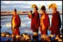 Kundun - 8 x 10 Color Photo #11