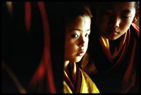 Kundun - 8 x 10 Color Photo #6