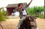 Kung Fu Hustle - 8 x 10 Color Photo #5