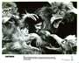 Labyrinth - 8 x 10 B&W Photo #3
