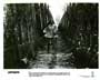 Labyrinth - 8 x 10 B&W Photo #4