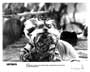 Labyrinth - 8 x 10 B&W Photo #8