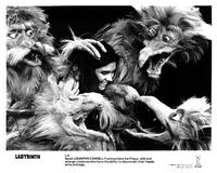 Labyrinth - 8 x 10 B&W Photo #3