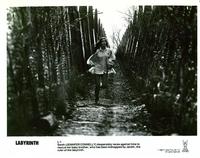 Labyrinth - 8 x 10 B&W Photo #4