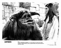 Labyrinth - 8 x 10 B&W Photo #5