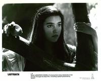 Labyrinth - 8 x 10 B&W Photo #6