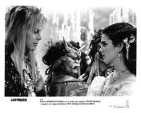 Labyrinth - 8 x 10 B&W Photo #7