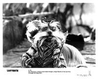 Labyrinth - 8 x 10 B&W Photo #8