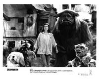 Labyrinth - 8 x 10 B&W Photo #9