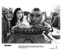 Labyrinth - 8 x 10 B&W Photo #13