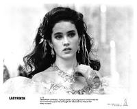 Labyrinth - 8 x 10 B&W Photo #14