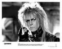 Labyrinth - 8 x 10 B&W Photo #15