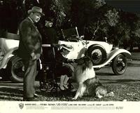 Lad: A Dog - 8 x 10 B&W Photo #2