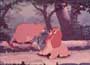 Lady and the Tramp - 8 x 10 Color Photo #4