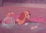 Lady and the Tramp - 8 x 10 Color Photo #9