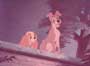 Lady and the Tramp - 8 x 10 Color Photo #15