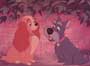 Lady and the Tramp - 8 x 10 Color Photo #16