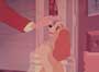 Lady and the Tramp - 8 x 10 Color Photo #22