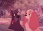 Lady and the Tramp - 8 x 10 Color Photo #8