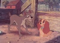 Lady and the Tramp - 8 x 10 Color Photo #3