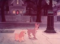 Lady and the Tramp - 8 x 10 Color Photo #5