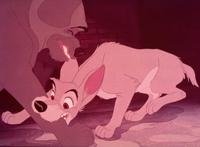 Lady and the Tramp - 8 x 10 Color Photo #7