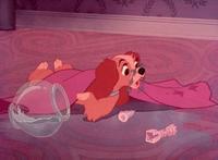 Lady and the Tramp - 8 x 10 Color Photo #9