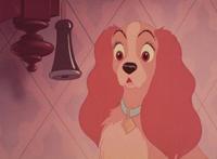 Lady and the Tramp - 8 x 10 Color Photo #10
