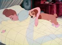 Lady and the Tramp - 8 x 10 Color Photo #11