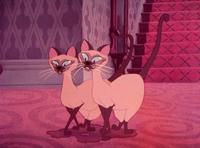 Lady and the Tramp - 8 x 10 Color Photo #13