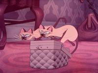 Lady and the Tramp - 8 x 10 Color Photo #14