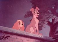 Lady and the Tramp - 8 x 10 Color Photo #15
