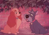 Lady and the Tramp - 8 x 10 Color Photo #16