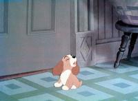 Lady and the Tramp - 8 x 10 Color Photo #17