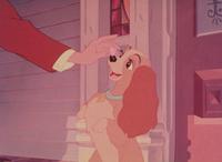 Lady and the Tramp - 8 x 10 Color Photo #22