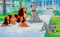 Lady and the Tramp - 8 x 10 Color Photo #23