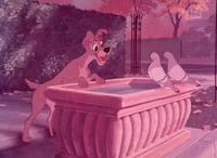Lady and the Tramp - 8 x 10 Color Photo #1