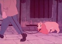 Lady and the Tramp - 8 x 10 Color Photo #3
