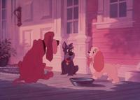 Lady and the Tramp - 8 x 10 Color Photo #7