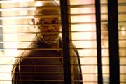 Lakeview Terrace - 8 x 10 Color Photo #1