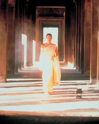 Lara Croft: Tomb Raider - 8 x 10 Color Photo #16
