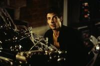 Lara Croft: Tomb Raider - 8 x 10 Color Photo #34