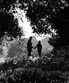 Lassie, Come Home - 8 x 10 B&W Photo #2