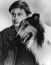 Lassie, Come Home - 8 x 10 B&W Photo #1