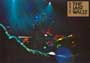 The Last Waltz - 8 x 10 Color Photo #3