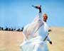 Lawrence of Arabia - 8 x 10 Color Photo #4
