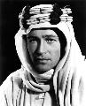 Lawrence of Arabia - 8 x 10 B&W Photo #1