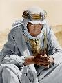 Lawrence of Arabia - 8 x 10 Color Photo #7